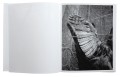 bene-benedetta-casagrande-all-things-laid-dormant1