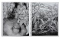 bene-benedetta-casagrande-all-things-laid-dormant2