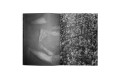 early-stage_cesura_lowres_still14