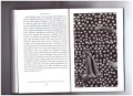 afte2j-nick-mauss-dispersed-events