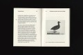 morton-scan_screen_01-1116x741