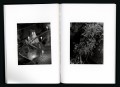 bene1j-benedetta-casagrande-out-of-the-stump-rot-something
