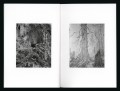 bene1b-benedetta-casagrande-out-of-the-stump-rot-something