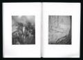 bene1k-benedetta-casagrande-out-of-the-stump-rot-something