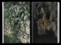 robida-10_scan_19