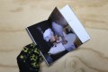 hann1f-hannahbaum-straydog3querencia