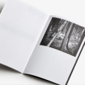 fede1-carlo-barbon-trees